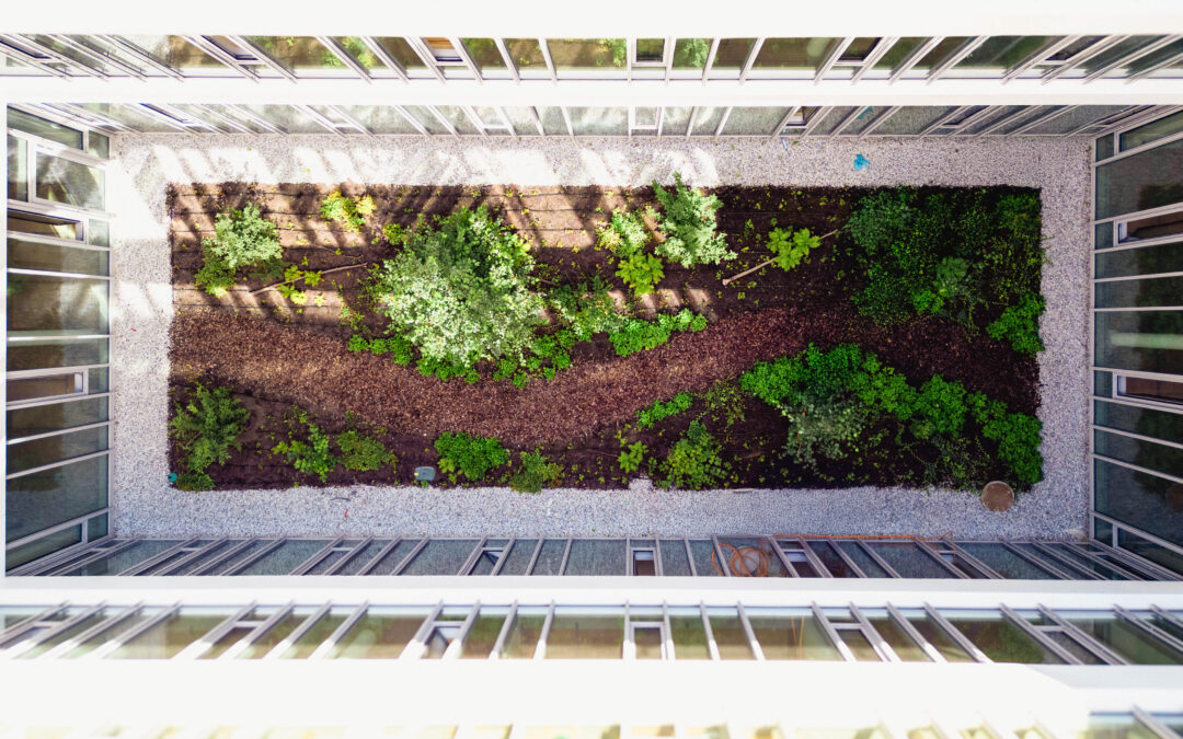 Die Patios: Licht- und Naturinseln im Zentrum der Patientenversorgung