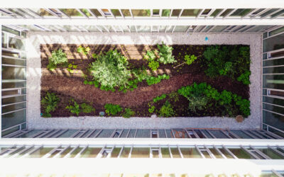 Die Patios: Licht- und Naturinseln im Zentrum der Patientenversorgung